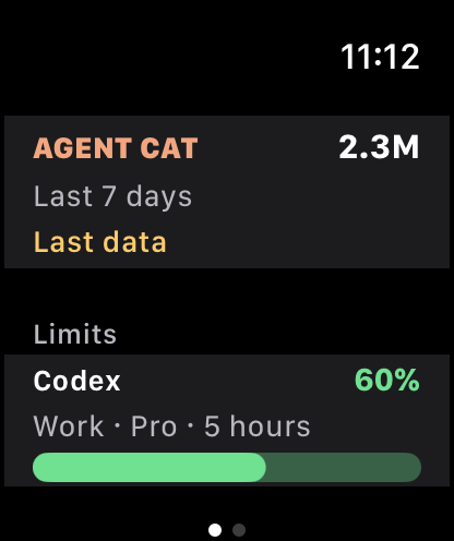 WorkサンプルアカウントのCodex上限とキャッシュを示すApple Watch開発画面