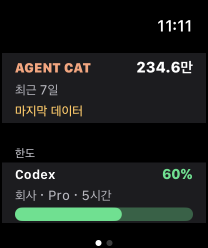 회사 예시 계정의 Codex 한도와 마지막 데이터를 보여주는 Apple Watch 개발 화면